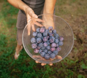 Zechsal Magnesium flakes especially made.
