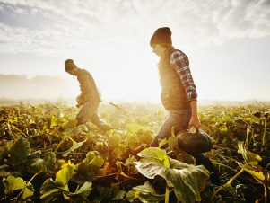 Strategy for Norway’s Peion Fund Global.