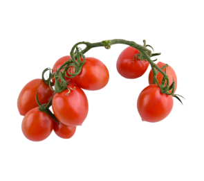 Red Cherry Tomato