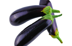 Black Vegan Brinjal