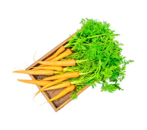 Vegan Red Carrot