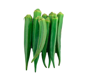 Green Lady Finger