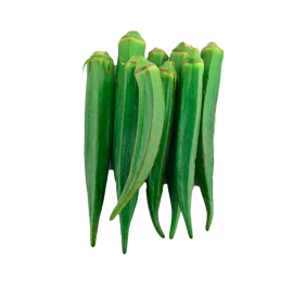 Green Lady Finger