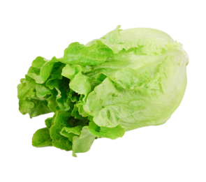 Green Ve Cabbage