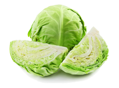 Fresh Greeny Cabbage