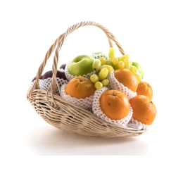 Vege Fruit Bucket