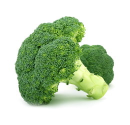 Calabres Broccoli