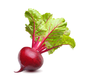 Vegan Fresh Radish