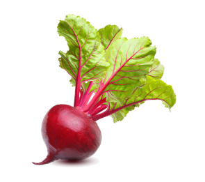 Vegan Fresh Radish